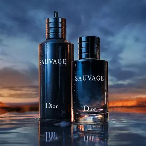 dior sauvage vergelijkbare geuren|best alternative to dior sauvage.